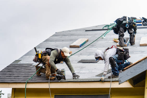 Professional Gutter Installation technician working in Fayetteville, TN